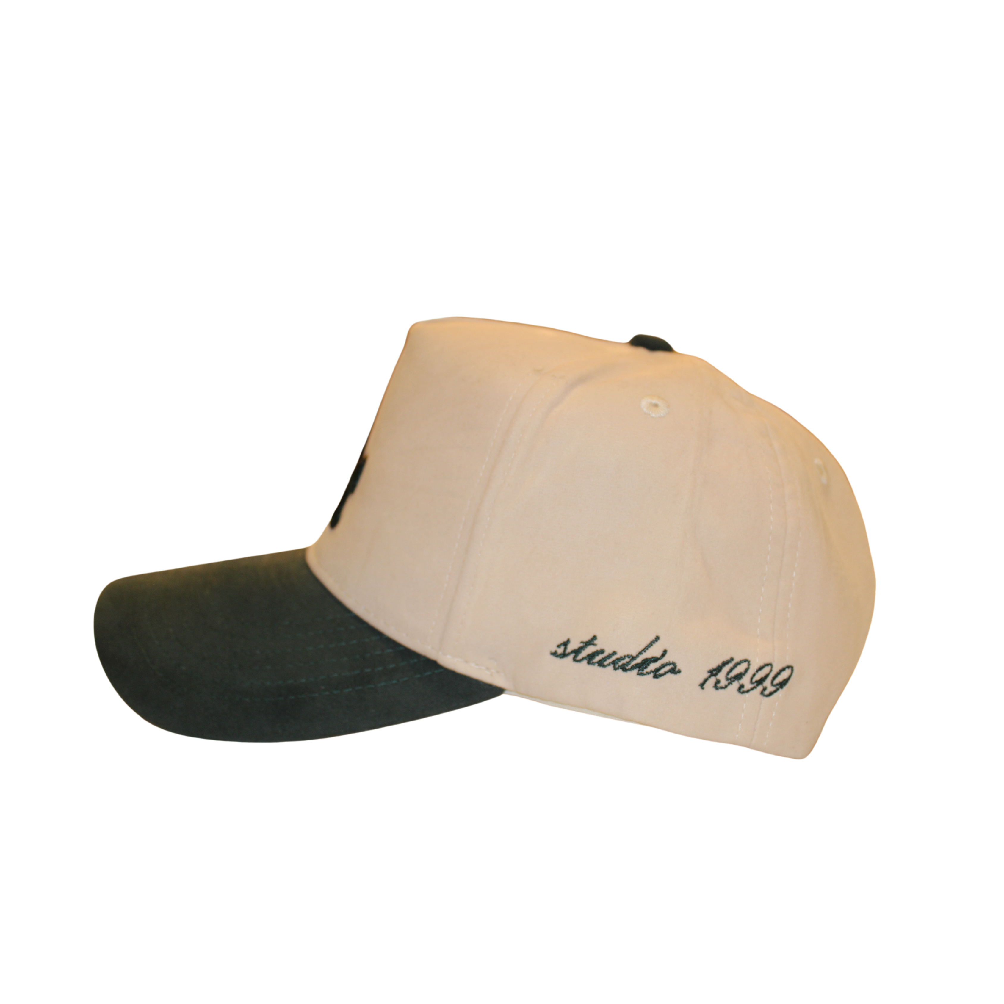 Two Tone LA V3 Hat - Green